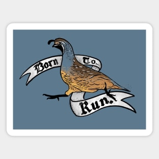 Born to Run - Quail Magnet